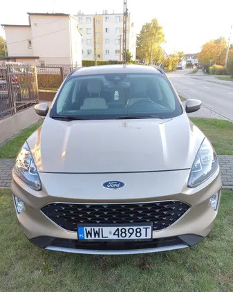 ford kobyłka Ford Kuga cena 116900 przebieg: 33000, rok produkcji 2020 z Kobyłka